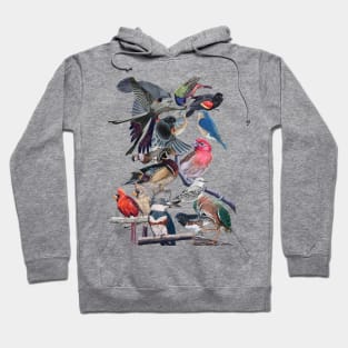 Birds Hoodie